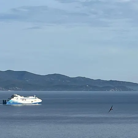 Superbe Face Aux Iles Sanguinaires アパート *